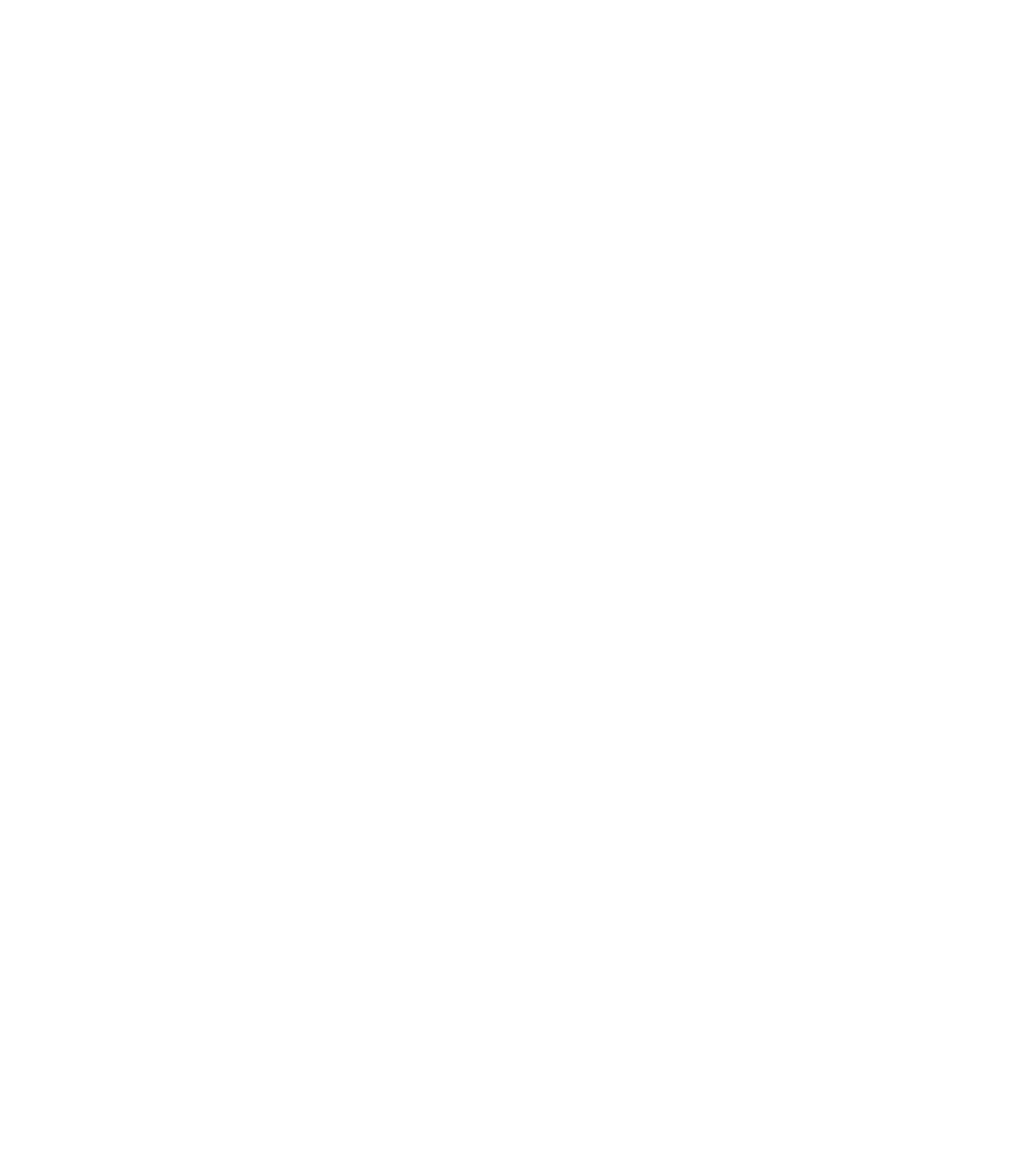 CAST BUILD